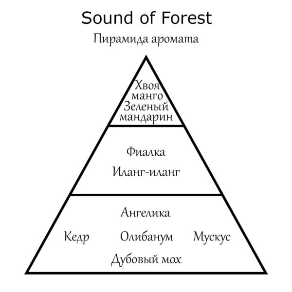 Пирамида аромата Sound of Forest